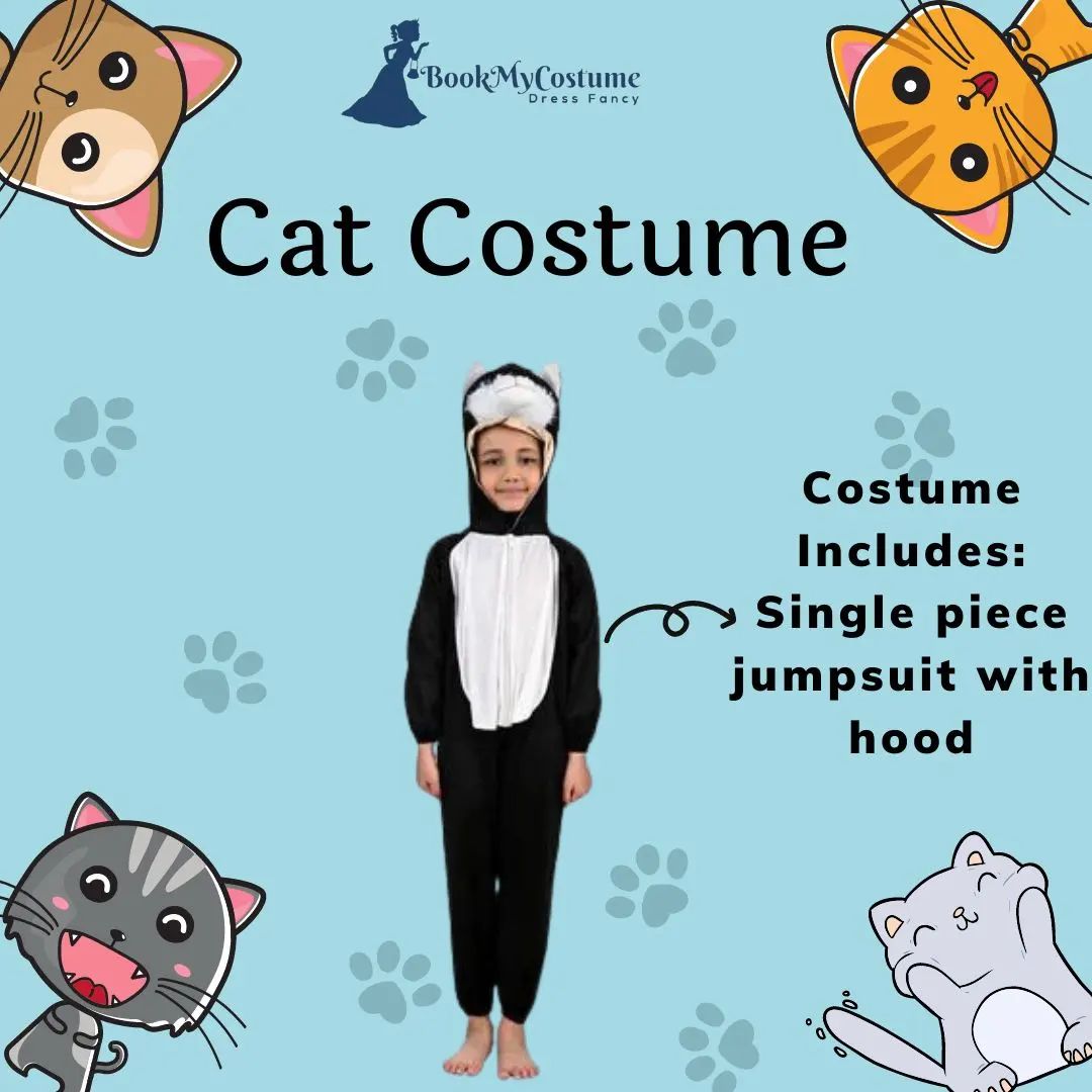 Meet Costume Image