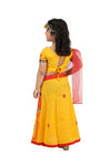 Radha Gujarat Garba Navratri Indian State Fancy Dress Costume for Girls and women