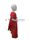 Teacher Red Saree Profession Kids & Adults Fancy Dress Costume