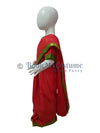 Teacher Red Saree Profession Kids & Adults Fancy Dress Costume