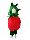 Apple Fruit Kids Fancy Dress Costume Online in India