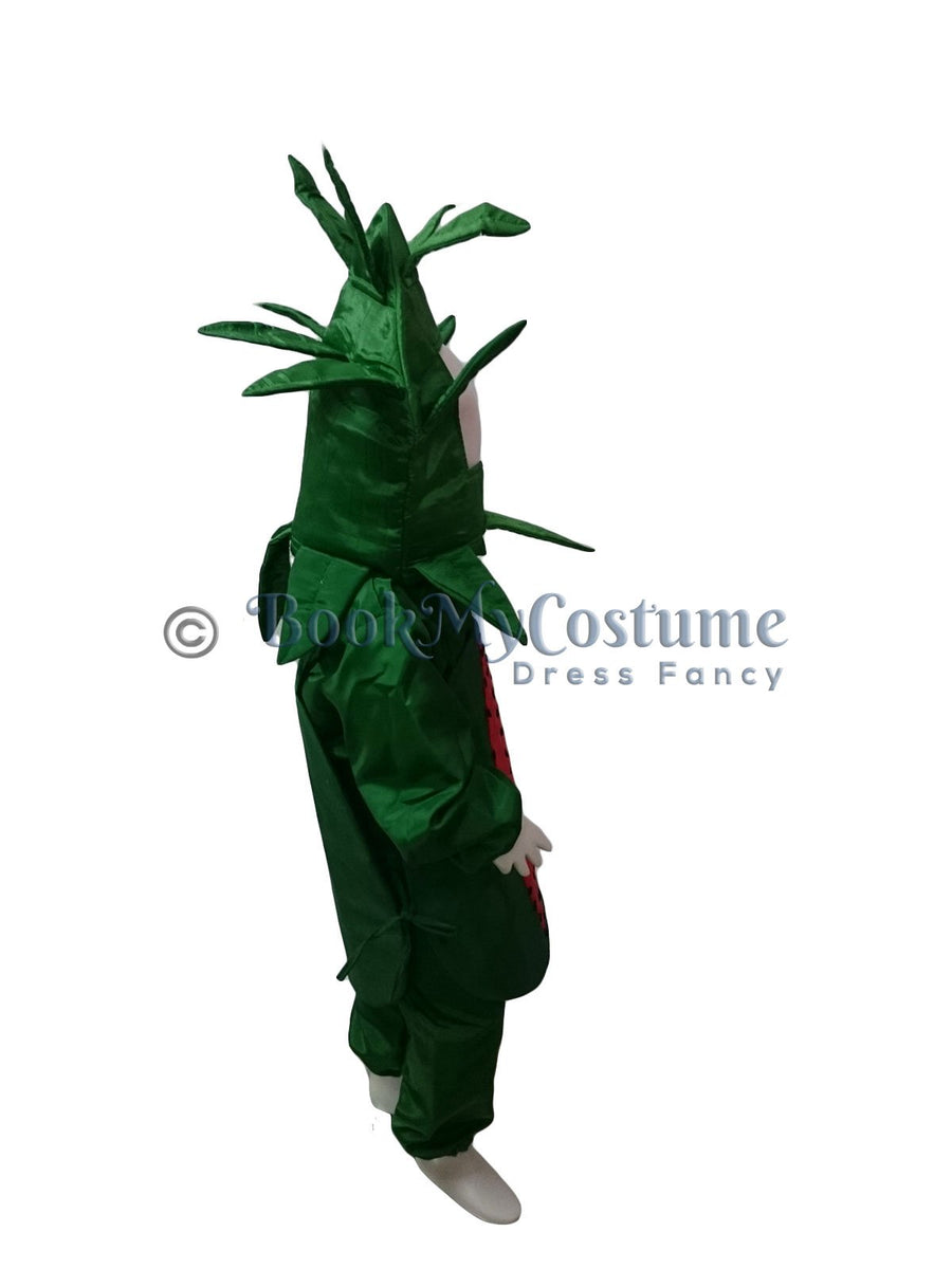 Watermelon Kids Fancy Dress Costume Online in India