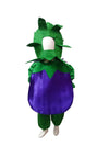 Brinjal Kids Fancy Dress Costume Online in India