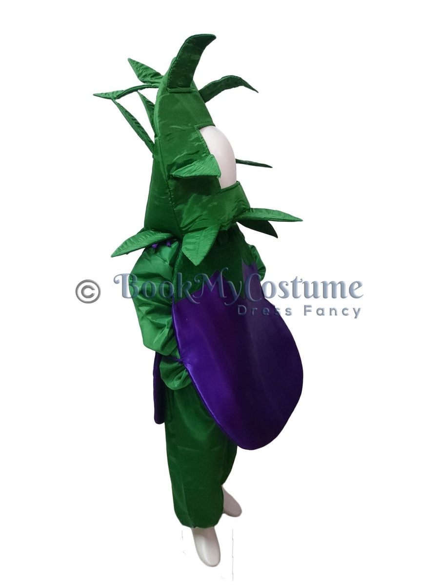 Brinjal Eggplant Baingan Vegetable Kids Fancy Dress Costume