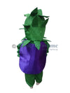 Brinjal fancy dress for kids