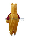 Pooh cartoon fancy dress