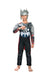 Thor Avengers Superhero Kids Fancy Dress Costume | Muscle Look | Imported