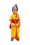 Krishna Banke Bihari Pitambar with Accessories Hindu God Janmashtami Fancy Dress Costume