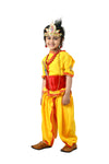 Krishna Banke Bihari Pitambar with Accessories Hindu God Janmashtami Fancy Dress Costume