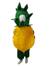 Papaya Fruit Childrens School Fancy Dress Costume