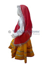 Haryana State Traditional Thel Costume for Girls and Women