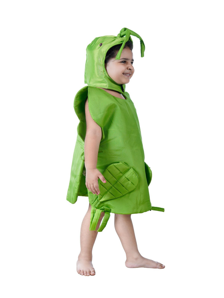 Caterpillar Insect Kids Fancy Dress Costume