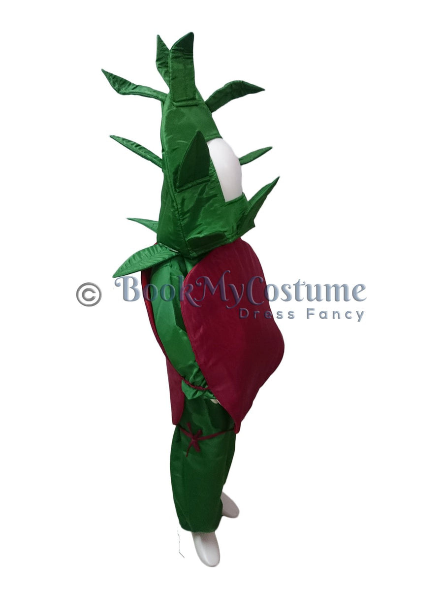 Pomegranate Anar Fruit Kids Fancy Dress Costume Online in India