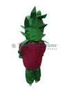 Pomegranate fancy dress for kids