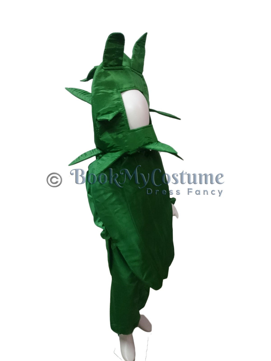 Capsicum Kids Fancy Dress Costume Online in India