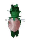 Onion fancy dress for kids