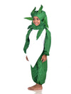 Radish Mooli Vegetable Kids Fancy Dress Costume