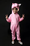 Pig Sooar Animal Kids Fancy Dress Costume