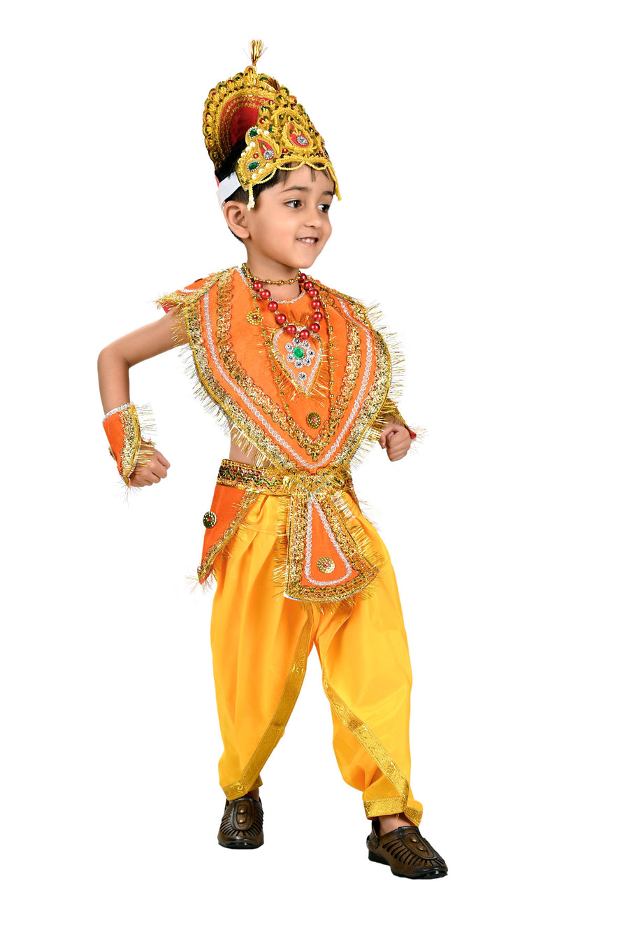 Indian Raja King Historical Mythology Kids & Adults Fancy Dress Costume