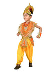 Indian Raja King Historical Mythology Kids & Adults Fancy Dress Costume