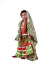 Rajasthani Indian State Fancy Dress Costume for Girls and Females