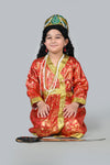 Mughal Emperor Sultan with Wig & Sword Kids Fancy Dress Costume for Boys & Men