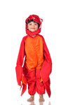 Crab Aquatic Animal  Kids Fancy Dress Costume