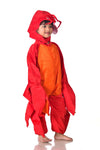 Crab Aquatic Animal  Kids Fancy Dress Costume