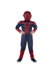 Spiderman Superhero Muscle Look Kids Fancy Dress Costume - Imported