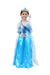 Elsa Snow Queen with Gloves Wand Crown and Wig Accessories Frozen Fairy tale Kids Fancy Dress Costume | Imported